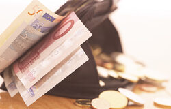 Se puede reconocer el derecho a la pensión de viudedad a todas las viudas de un polígamo Cartera con billetes y monedas