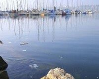 Cierran una empresa en Amorebieta por contaminar Cierran una empresa en Amorebieta por contaminar