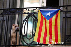 Cientos de miles de catalanes se manifestarán por la independencia en la Diada Un perro junto a una bandera independentista o Estelada en un balcón de Barcelona, el 11 de septiembre de 2017