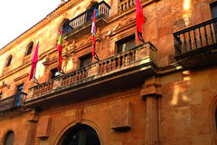 El TSJCyL confirma la anulación de convocatoria de la Diputación de Salamanca denunciada por USO Diputación de Salamanca