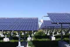 ¿Avanzamos de verdad o seguimos «ecopostureando»? Paneles fotovoltaicos