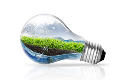 Convocada una nueva subasta de energía renovable Bombilla con césped y molinos dentro