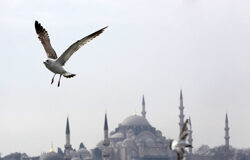 Próxima estación, Estambul Estambul.