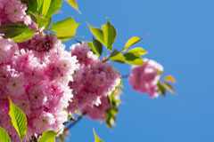 Thomson Reuters presenta las novedades editoriales del mes de abril Flores