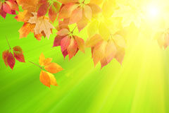 Thomson Reuters presenta las novedades editoriales de octubre Hojas