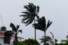 Lluvias de remanentes de tormenta Earl dejan 18 muertos en México Árboles de palma son sacudidos por la lluvia y los fuertes vientos antes del paso del huracán Earl en Ciudad de Belice, 3 de agosto, 2016