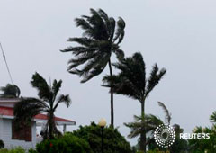 Árboles de palma son sacudidos por la lluvia y los fuertes vientos antes del paso del huracán Earl en Ciudad de Belice, 3 de agosto, 2016