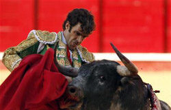 José Tomás, fuera de peligro José Tomas toreando