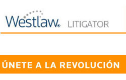 Con “Litigator”, el penar se va a acabar Pantallazo de acceso a Litigator