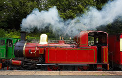 A toda máquina hacia la reforma del Código Penal (I) Locomotora a tdo gas