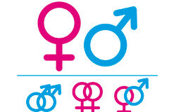 La Fiscalía investiga las declaraciones del obispo de Córdoba sobre la «bomba atómica de la ideología de género» Símbolos de masculino y femenino