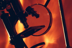 Los Abogados creen que la Justicia carece de medios para investigar delitos económicos complejos Un microscopio y una lupa