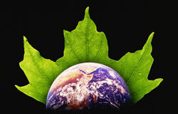 La transposición de la Directiva de servicios y su incidencia en la legislación ambiental Ecologistas y empresa, atentos al proceso normativo “verde”