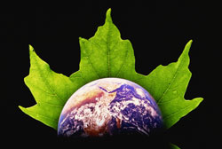 Ecologistas y empresa, atentos al proceso normativo “verde”