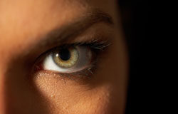 El legislador mira con buenos ojos al Graduado Social Un ojo verde visto desde cerca.