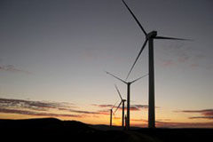 Un juzgado de Bilbao concede medidas cautelares a Iberdrola frente a EDF por competencia desleal Parque eólico