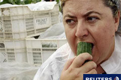 España pide medidas de urgencia a la UE por los pepinos La consejera andaluza de Agricultura, Clara Aguilera, muerde un pepino de cultivo ecológico en un invernadero de la localidad almeriense de Pechina, el 30 de mayo de 2011.