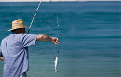 A río revuelto, ganancia de pescadores 2008, año I de la crisis. ¿a río revuelto ganancia de pescadores?