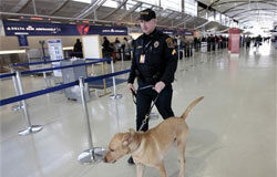EEUU investiga el vínculo de Al Qaeda con el incidente de avión Un agente de la policía metropolitana de Detroit patrulla en el aeropuerto con un perro experto en la detección de explosivos, el 26 de diciembre de 2009