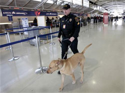 Un agente de la policía metropolitana de Detroit patrulla en el aeropuerto con un perro experto en la detección de explosivos, el 26 de diciembre de 2009