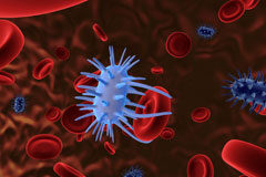 El Tribunal Supremo anula la medida de localización permanente de deportistas para controles antidopaje Componentes de la sangre