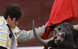 ¿Haces juicios o eres abogado? Cayetano toreando.