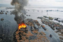 Un gran tsunami arrasa la costa de Japón tras un seísmo de 8,9 Las casas inundadas tras el tsunami en Natori, al noreste de Japón, el 11 de marzo de 2011.