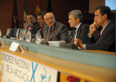 Los ponentes durante el X Congreso de la Abogacía en Cádiz