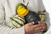 Mi despacho no se come una rosca Mi despacho no se come una rosca