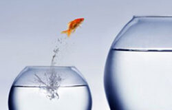 “Nadie cambia si no siente la necesidad de hacerlo”. Henry Ford Nadie cambia si no siente la necesidad de hacerlo