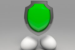 La Ley de Prevención de Riesgos Laborales suele ser la gran olvidada… en nuestro despacho Un escudo y dos huevos