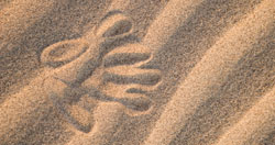 La huella de una mano en la arena.