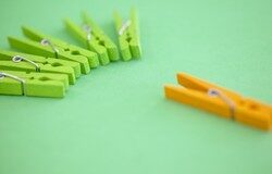 ¿Cómo descubrir un nicho en la práctica del Derecho? ¿Cómo descubrir un nicho en la práctica del Derecho?