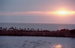 Nuevos tiempos Nuevos tiempos Guido Stein