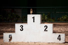 ¿Qué es eso de los rankings de abogados? Un podio con un pájaro en el nº 1.