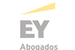 Aumenta el riesgo de los consejeros: sin actuar de forma malintencionada podrían perder todo su patrimonio EY Logo