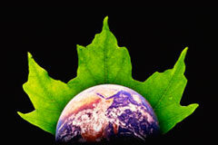 Exigibilidad del “seguro verde” para los operadores industriales Un dibujo del mundo apoyado sobre una hoja de árbol.