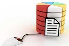 Gestión única para la información interna y externa Figuras d equesitos divididos en colores y apilados al lado el dibujo de una hoja de datos y de ellos sale un ratón de ordenador