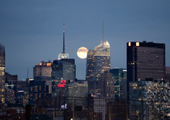 New York New York