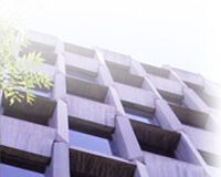 ECIJA Líder en TMT y IP según CHAMBERS ECIJA Líder en TMT y IP según CHAMBERS