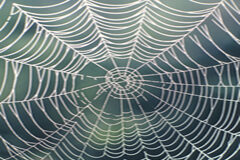 La Web 2.0, ¿tiene algo que ofrecer a los despachos de abogados? La Web 2.0, ¿tiene algo que ofrecer a los despachos de abogados?