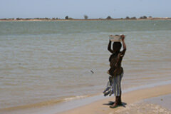 Gericó Associates colabora con Unicef a favor de la responsabilidad social de la abogacía UNICEF