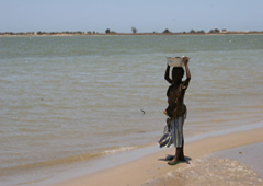Una niña negro andando por la playa