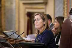 El Pleno del Congreso admite a trámite la Proposición de Ley de reforma de la Ley de Jurisdicción Voluntaria La Presidenta del Congreso, Ana Pastor, durante la celebración del Pleno esta semana