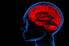 Modelos mentales para resolver conflictos Silueta de una cabeza con el cerebro en rojo