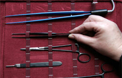 Intervenciones «embellecedoras» Intervenciones «embellecedoras»