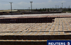 Asignación de derechos de emisión de gases efecto invernadero. Un cálculo matemático extenso y complicado Asignación de derechos de emisión de gases efecto invernadero. Un cálculo matemático extenso y complicado.