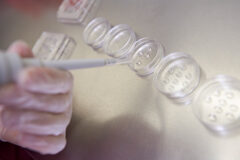 ¿Es nulo el despido de una trabajadora sometida a un tratamiento de fecundación in vitro? Fecundación in vitro