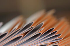 ¿Cómo debemos elaborar un catálogo de servicios? Varios folletos de publicidad