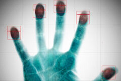 Tratamiento de datos biométricos: la necesaria jerarquización de los diversos intereses en presencia Una mano